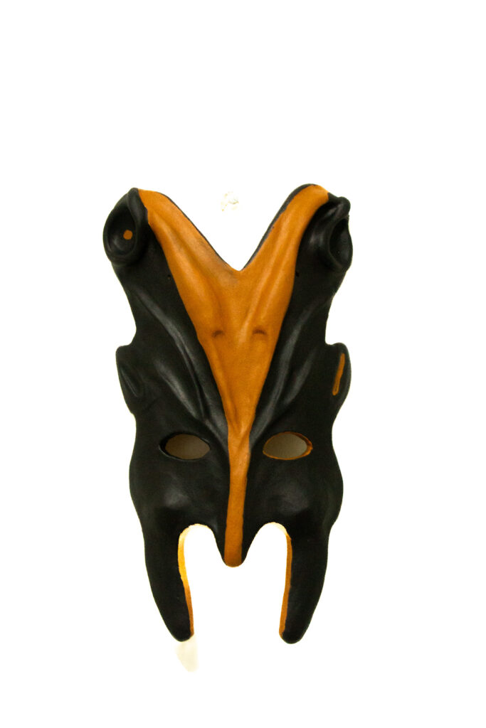 Afronandinidad img 9300