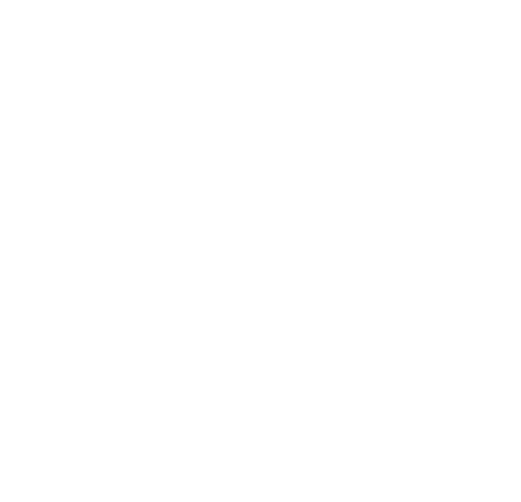 Afronandinidad manuel de marca afronandinidad 09